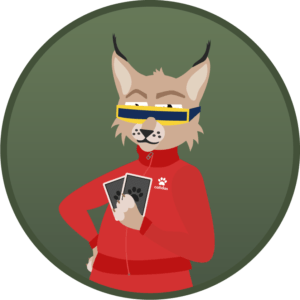Poker online-bogdan